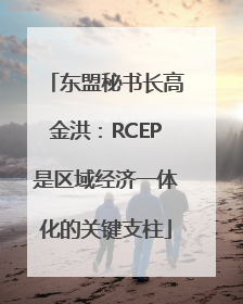 东盟秘书长高金洪：RCEP是区域经济一体化的关键支柱