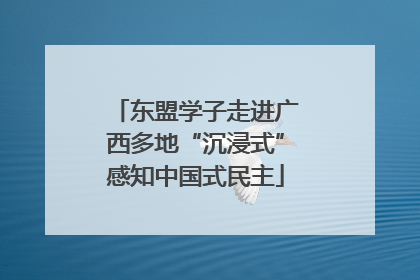 东盟学子走进广西多地“沉浸式”感知中国式民主