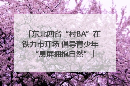 东北四省“村BA”在铁力市开场 倡导青少年“息屏拥抱自然”
