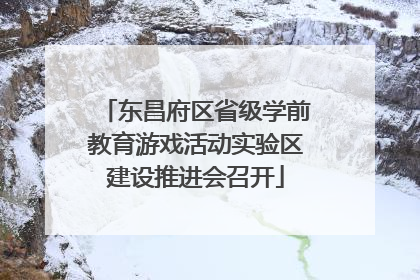 东昌府区省级学前教育游戏活动实验区建设推进会召开