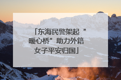 东海民警架起“暖心桥”助力外籍女子平安归国