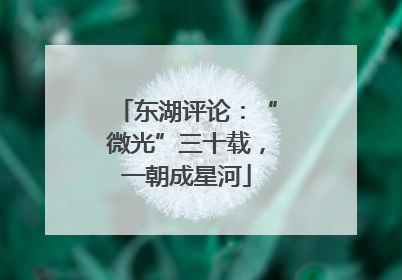 东湖评论：“微光”三十载，一朝成星河