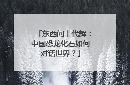 东西问丨代辉：中国恐龙化石如何对话世界？