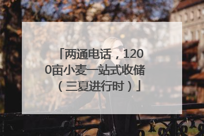 两通电话，1200亩小麦一站式收储（三夏进行时）