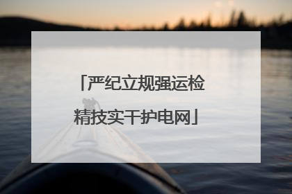 严纪立规强运检 精技实干护电网