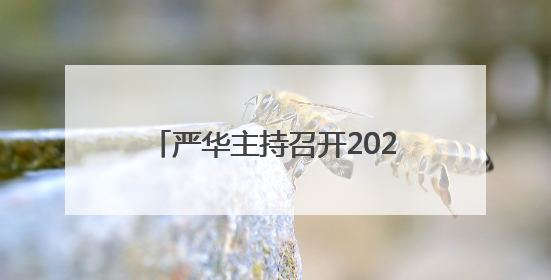 严华主持召开2025年邵阳市林长会议