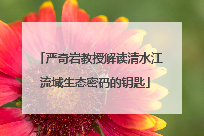 严奇岩教授解读清水江流域生态密码的钥匙