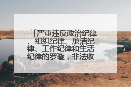 严重违反政治纪律、组织纪律、廉洁纪律、工作纪律和生活纪律的罗璇，非法收受他人巨额财物