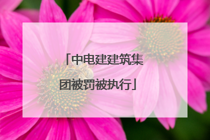中电建建筑集团被罚被执行
