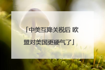 中美互降关税后 欧盟对美国更硬气了