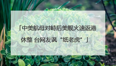 中美航母对峙后美舰火速返港休整 台网友讽“纸老虎”