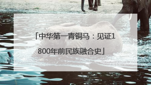 中华第一青铜马：见证1800年前民族融合史