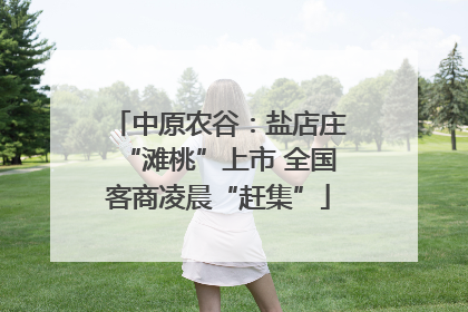 中原农谷：盐店庄“滩桃”上市 全国客商凌晨“赶集”