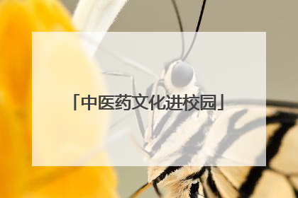 中医药文化进校园