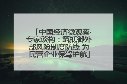 中国经济微观察·专家谈构：筑抵御外部风险制度防线 为民营企业保驾护航