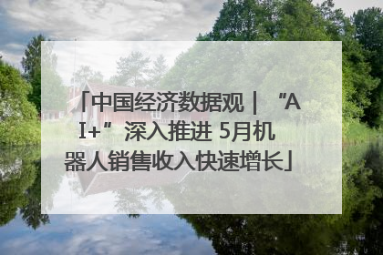 中国经济数据观｜“AI+”深入推进 5月机器人销售收入快速增长