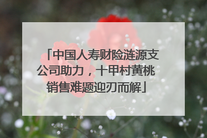 中国人寿财险涟源支公司助力，十甲村黄桃销售难题迎刃而解