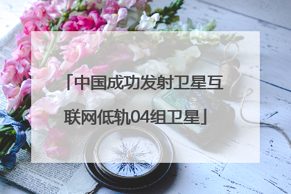 中国成功发射卫星互联网低轨04组卫星