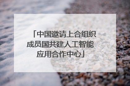 中国邀请上合组织成员国共建人工智能应用合作中心