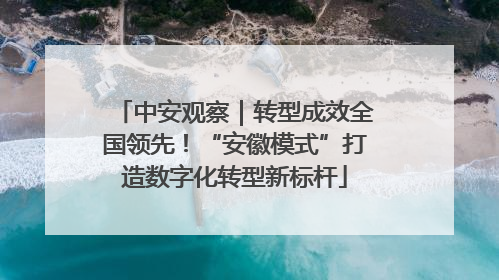 中安观察｜转型成效全国领先！“安徽模式”打造数字化转型新标杆