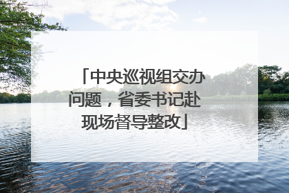 中央巡视组交办问题，省委书记赴现场督导整改
