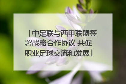 中足联与西甲联盟签署战略合作协议 共促职业足球交流和发展