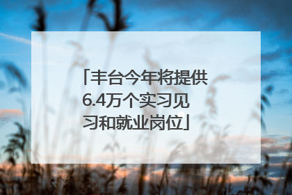 丰台今年将提供6.4万个实习见习和就业岗位