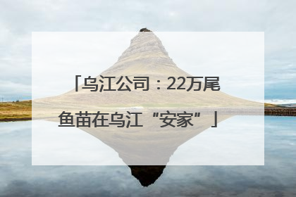 乌江公司：22万尾鱼苗在乌江“安家”