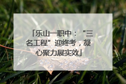 乐山一职中：“三名工程”迎终考，凝心聚力展实效