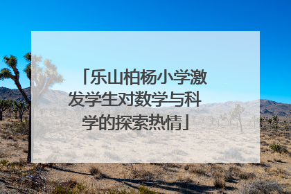 乐山柏杨小学激发学生对数学与科学的探索热情