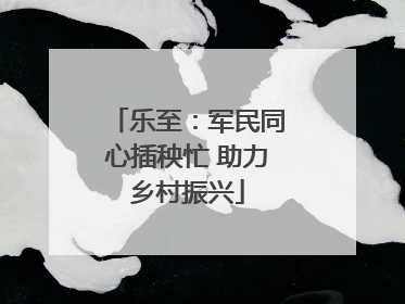 乐至：军民同心插秧忙 助力乡村振兴