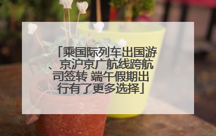 乘国际列车出国游、京沪京广航线跨航司签转 端午假期出行有了更多选择
