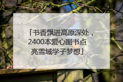 书香飘进高原深处，2400本爱心图书点亮雪域学子梦想