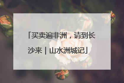 买卖遍非洲，请到长沙来｜山水洲城记