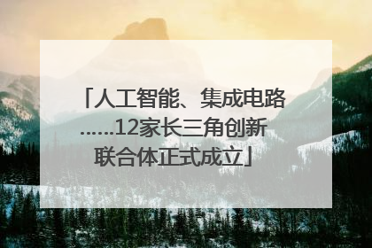 人工智能、集成电路……12家长三角创新联合体正式成立