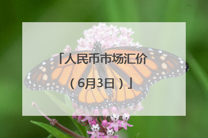 人民币市场汇价（6月3日）