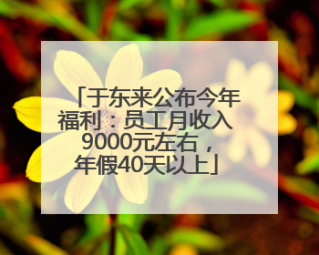 于东来公布今年福利：员工月收入9000元左右，年假40天以上