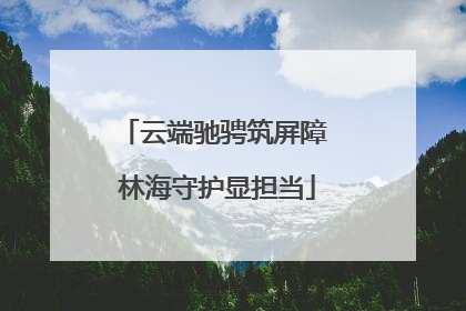 云端驰骋筑屏障 林海守护显担当