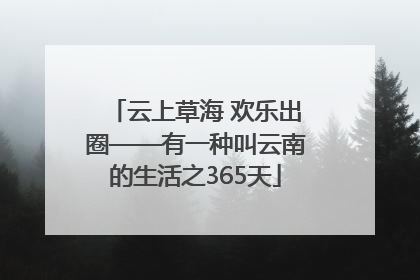 云上草海 欢乐出圈——有一种叫云南的生活之365天