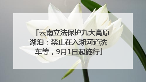 云南立法保护九大高原湖泊：禁止在入湖河道洗车等，9月1日起施行