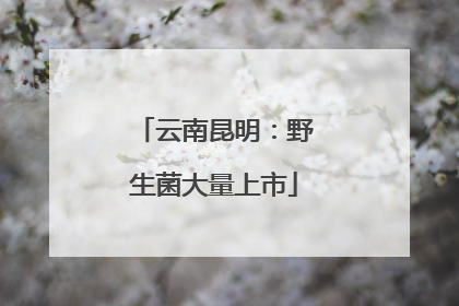 云南昆明：野生菌大量上市