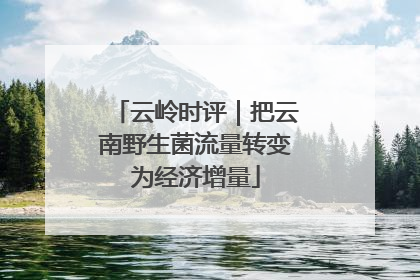 云岭时评｜把云南野生菌流量转变为经济增量