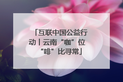 互联中国公益行动丨云南“咖”位“啡”比寻常