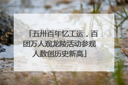 五卅百年忆工运，百团万人观龙陵活动参观人数创历史新高