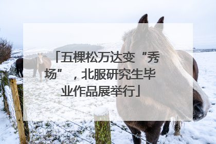 五棵松万达变“秀场”，北服研究生毕业作品展举行