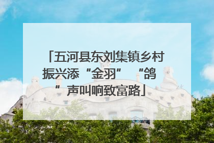 五河县东刘集镇乡村振兴添“金羽” “鸽”声叫响致富路
