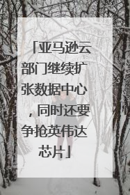 亚马逊云部门继续扩张数据中心，同时还要争抢英伟达芯片