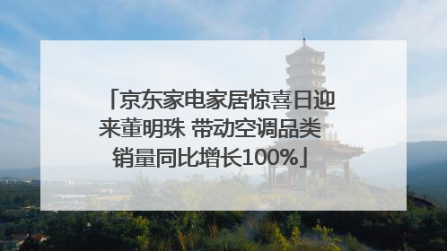 京东家电家居惊喜日迎来董明珠 带动空调品类销量同比增长100%