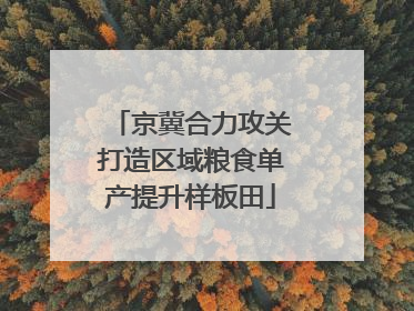 京冀合力攻关打造区域粮食单产提升样板田