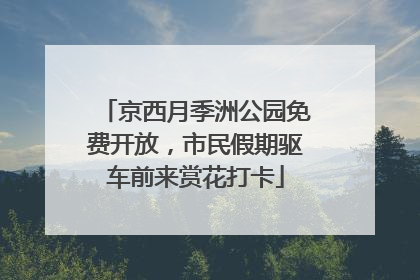 京西月季洲公园免费开放，市民假期驱车前来赏花打卡